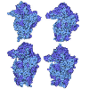 Ribosome Diversity