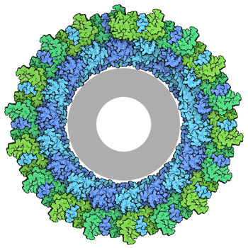 RCSB PDB Molecule of the Month