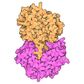 RCSB PDB Molecule of the Month