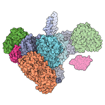 RCSB PDB Molecule of the Month