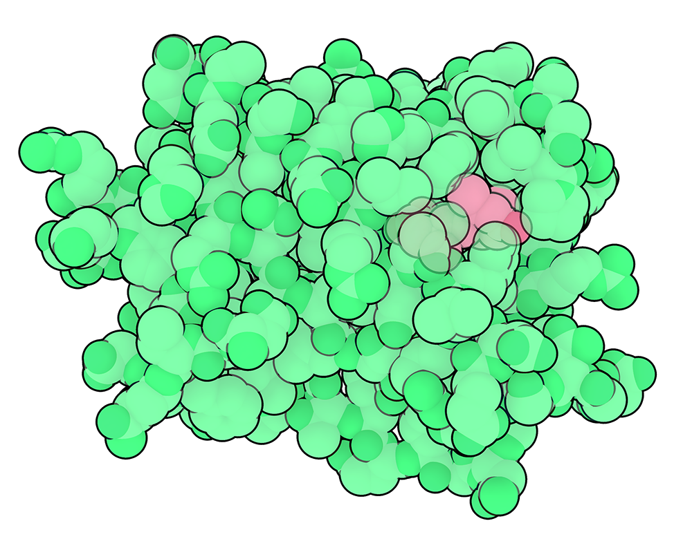 The ABA receptor PYL1 is shown bound to abscisic acid, shown in pink (3JRS).