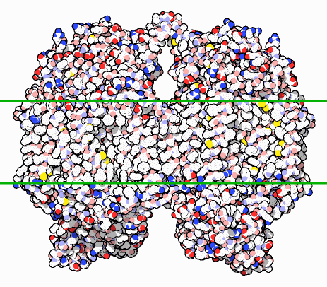 Cytochrome c oxidase. The portion spanning the membrane is shown schematically with green lines.