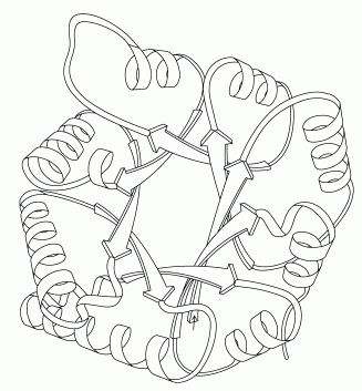 Cartoon representation of triose phosphate isomerase, drawn by Jane S. Richardson.