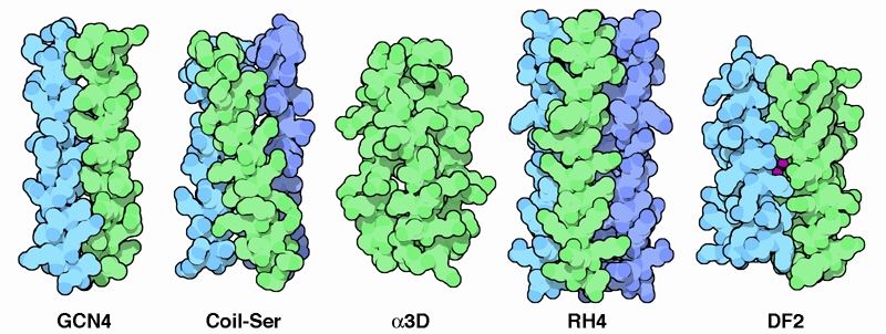 Several examples of designed proteins built from bundles of alpha helices.