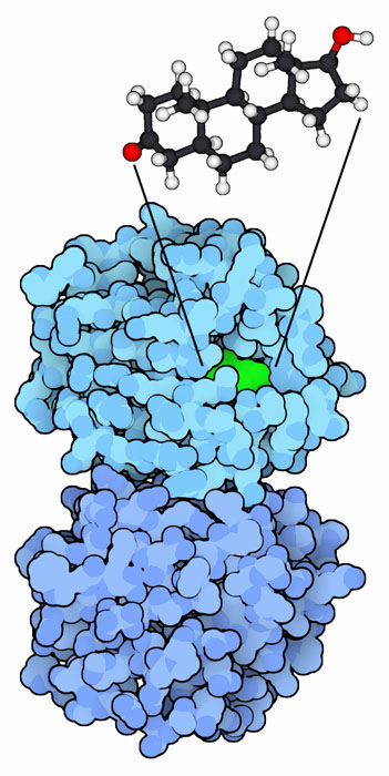 anabolic steroid structure