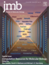 Image on the cover of the journal containing the article (2022) Journal of Molecular Biology 434: 167599 doi: 10.1016/j.jmb.2022.167599