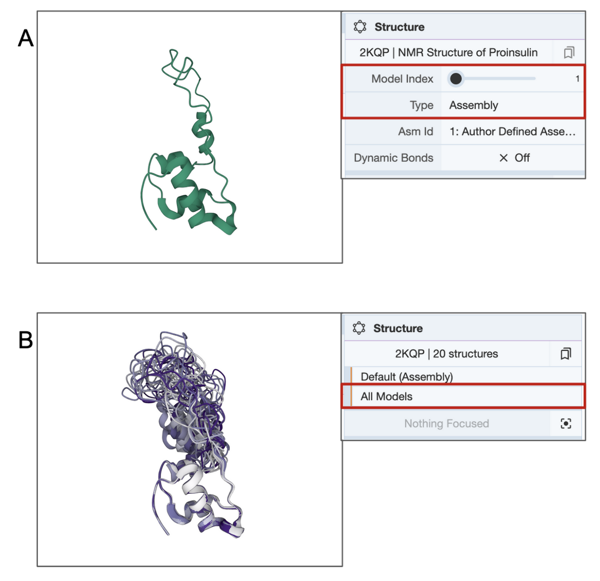 Figure 2: Different molecular views of a single structure determined by NMR (PDB ID 2kqp). A. a single model (from the deposited coordinates); B. The full ensemble of NMR structures. 