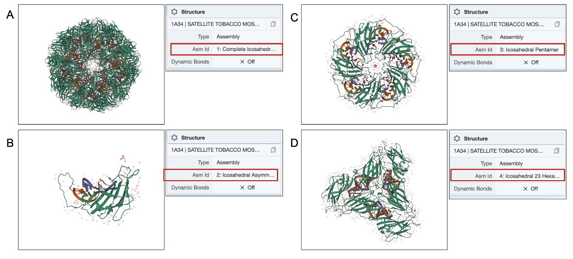 Figure 3: A sampling of molecular views displayed on the 3D canvas for an icosahedral virus  structure (PDB entry 1a34). A. the complete icosahedral assembly showing the full virus structure; B. view of the entire set of coordinates included in the PDB entry representing one icosahedral unit of the complete virus (1/60th of the structure); C. a subset of the icosahedral virus, forming a pentamer; D. a subset of the icosahedral virus, forming a trimer. The additional coordinates were computed based on icosahedral symmetry information.