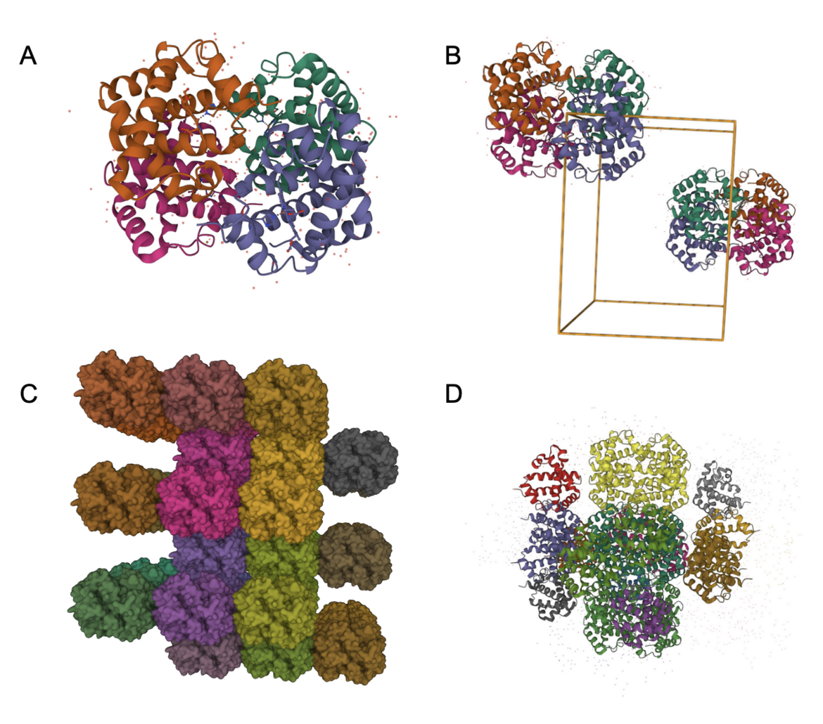 Figure 3: Preset views of a crystal structure (PDB entry 4hhb). Explanations of the different forms of the structure shown in sections A-D are included below. 