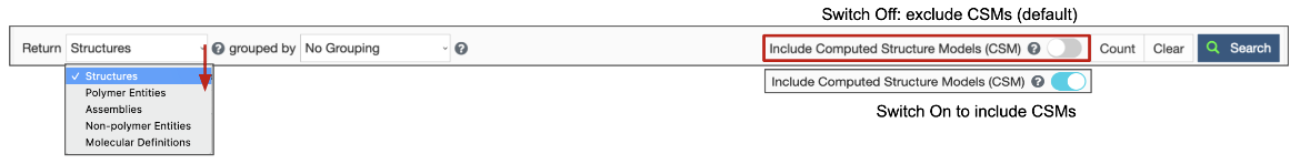 Figure 3: Return options for Advanced Search queries. 