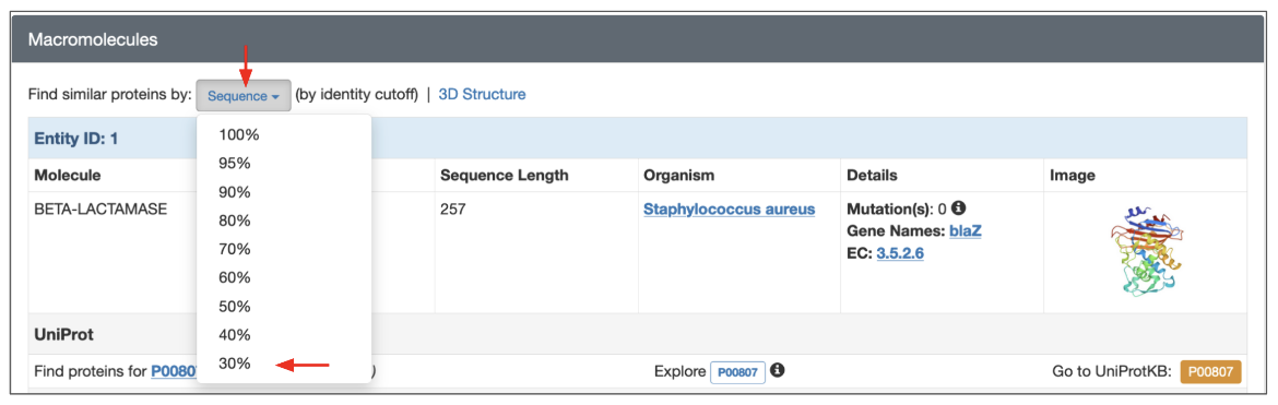 Figure 8: Launching a sequence similarity search from the Structure Summary Page for PDB entry 1blc.
