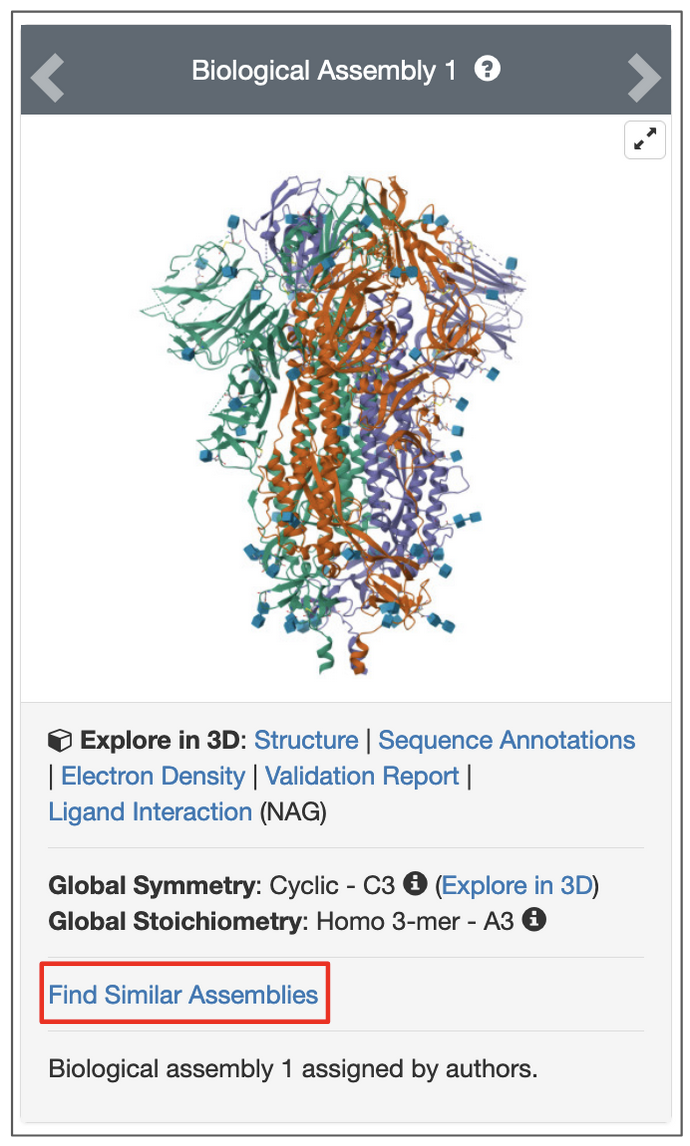Figure 12: Options to search for structures with the same assembly from the structure summary page of PDB ID 6vxx.