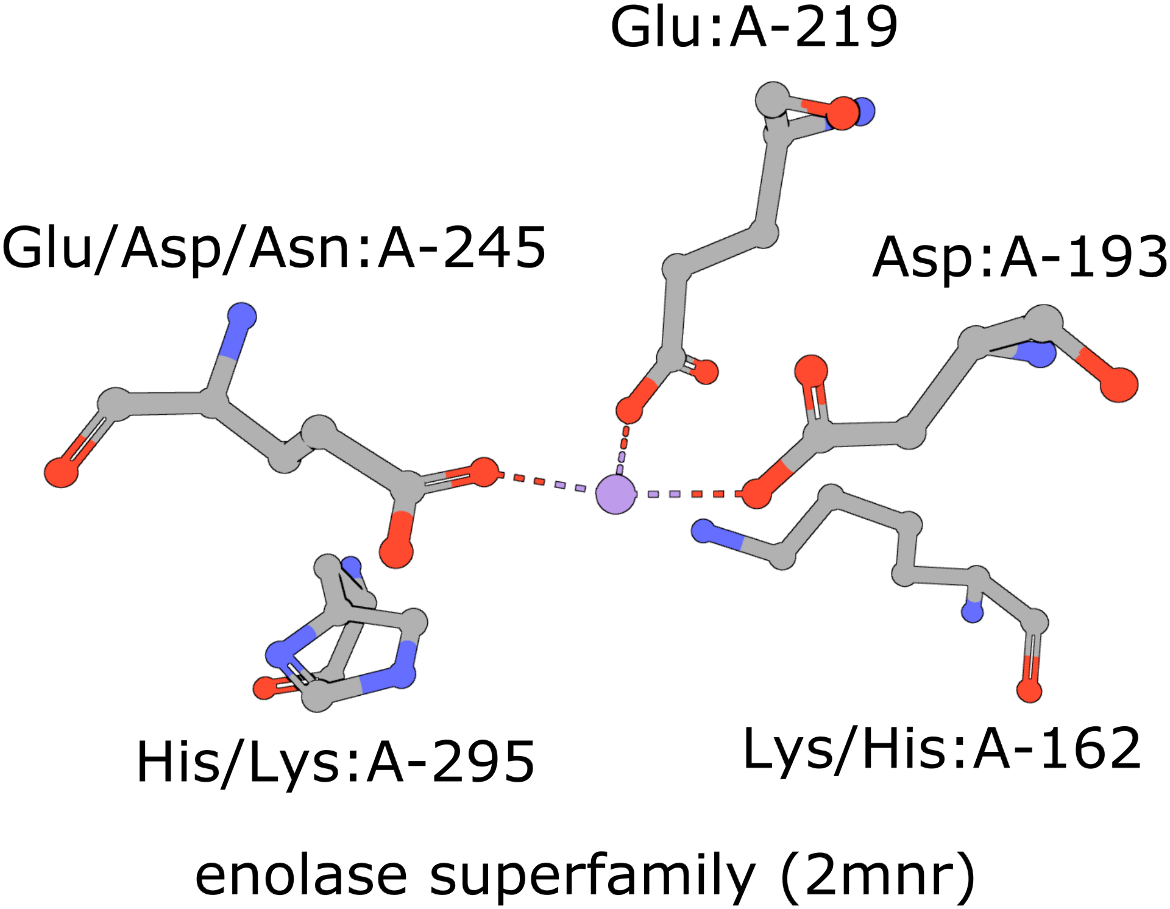 Structure Motif Search