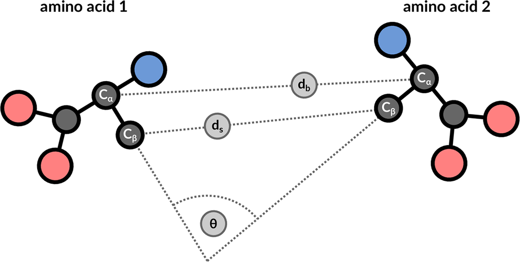 Figure 9: 3 geometric properties are used to describe residue pairs: backbone distance between Cα atoms, side-chain distance between Cβ atoms, and angle between the corresponding vectors.