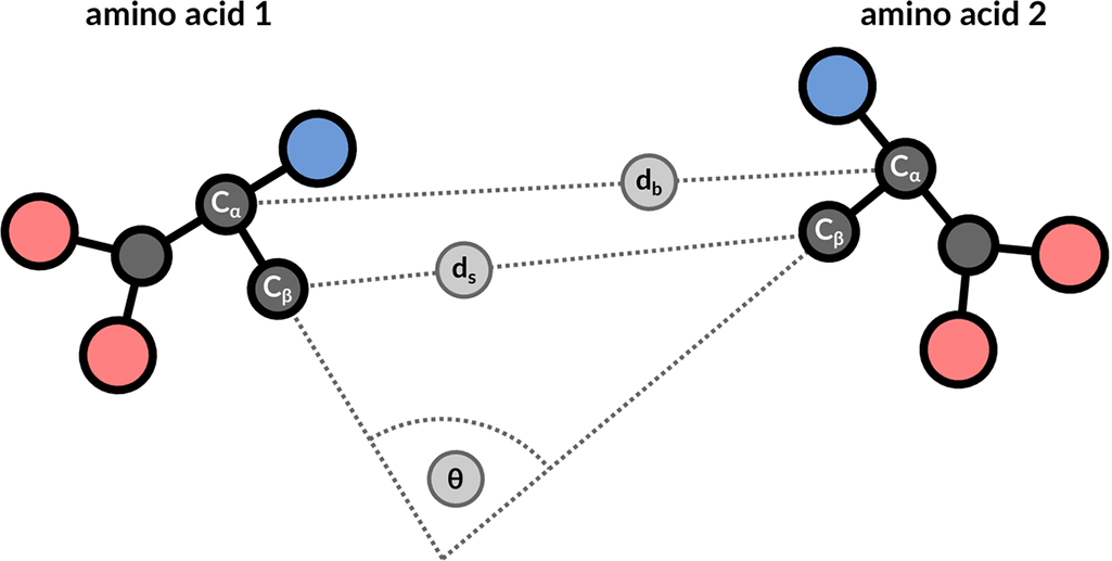 图9：3个几何性质用于描述残基对：Cα原子之间的主链距离、Cβ原子之间的侧链距离以及相应向量之间的角度。