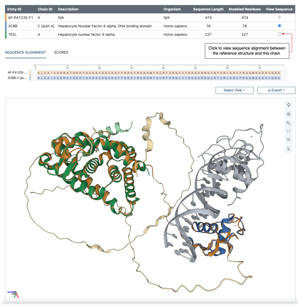 AlphaFold model of human Hepatocyte nuclear factor 4-alpha (AF-Q8W3K0-F1, in orange); Crystal structure of human HNF4α DNA binding domain in complex with DNA target (3CBB C[auth A], in blue); Complex of HNF-4α bound to fatty acid ligand and SRC-1 coactivator peptide (1PZL A, in green)