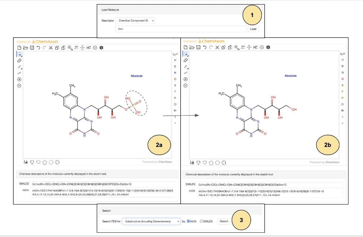 化学素描工具界面显示执行搜索的步骤顺序-（1）加载和（2a）渲染FMN的化学图，（2b）编辑分子以除去磷酸根，（3）选择匹配类型并运行化学搜索