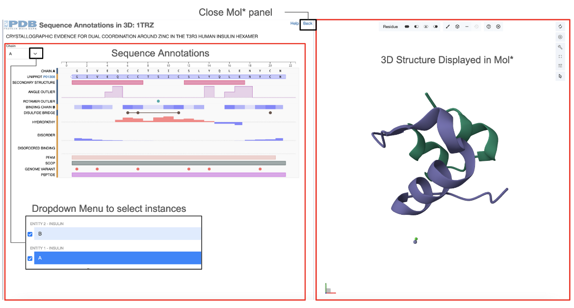 Figure 1: Two dynamically connected panels showing the 3D structure and sequence annotations for the PDB entry 1trz. Options for selecting instances of protein chains to see positional annotations shown in inset.
