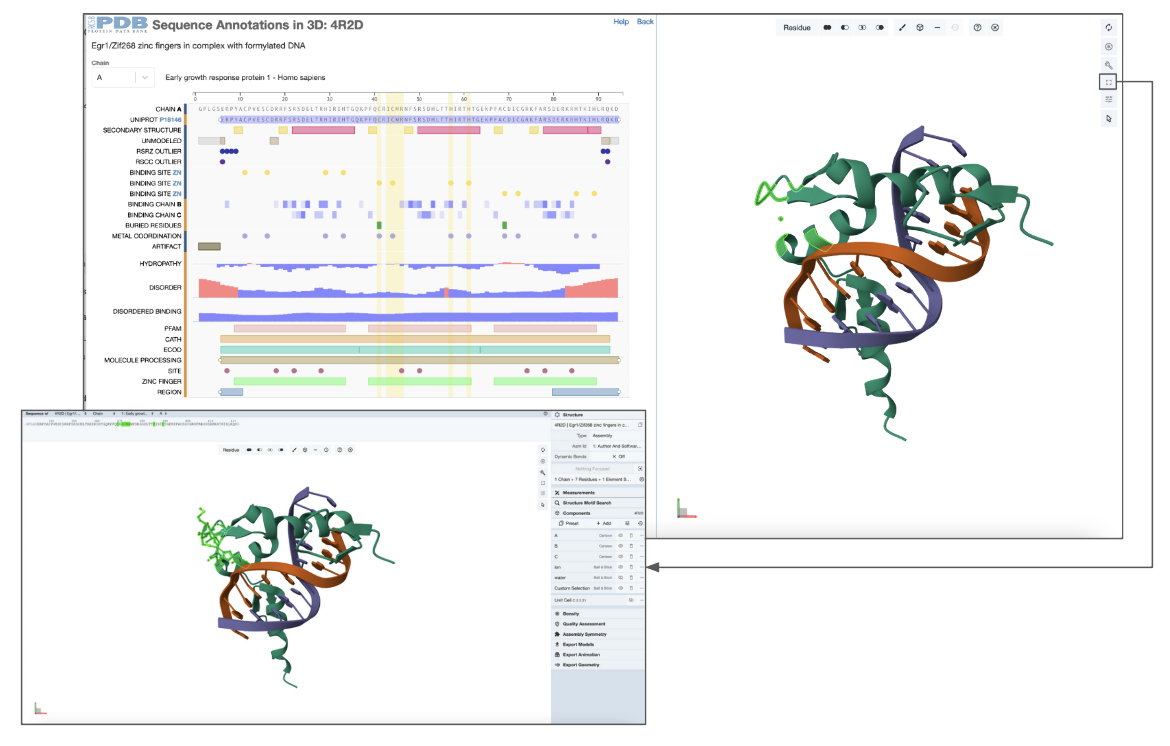 Figure 5: Projecting the residues in the environment of a zinc ion in PDB ID 4r2d from the 3D structure to examine its sequence annotations. The inset shows fullscreen Mol* view generated from the Sequence Annotations in 3D feature's structure panel, by clicking on the button shown. 