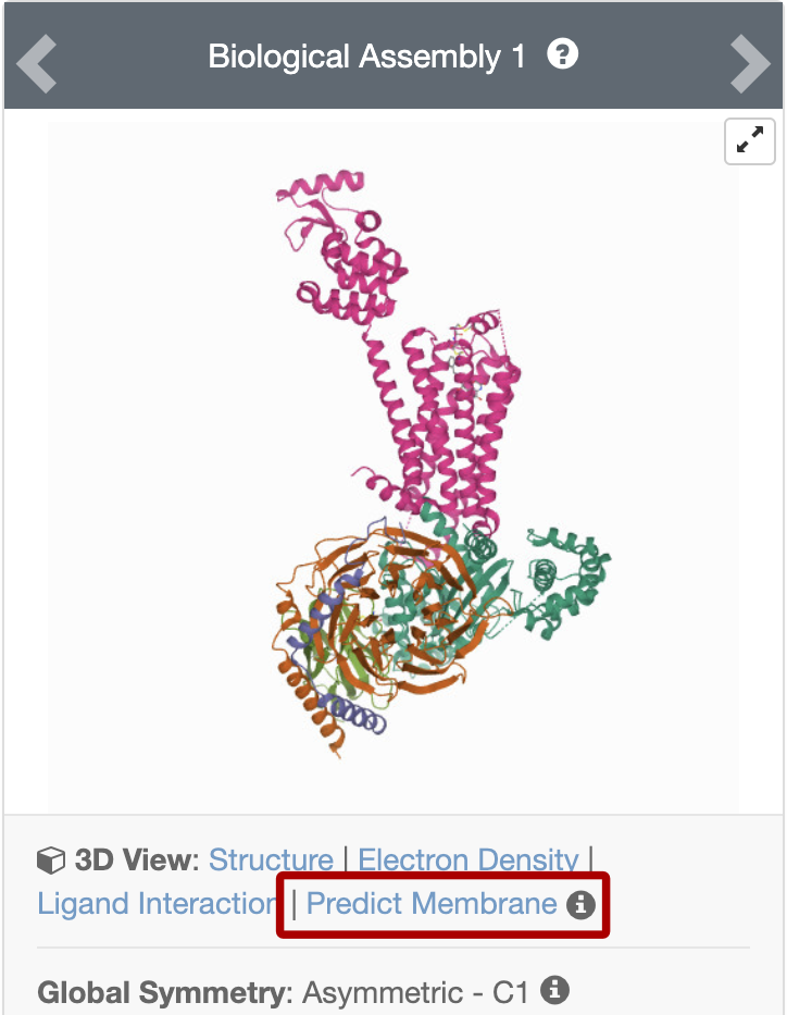 To visualize membrane position in a Membrane protein entity, click on the highlighted button on the Structure Summary page.