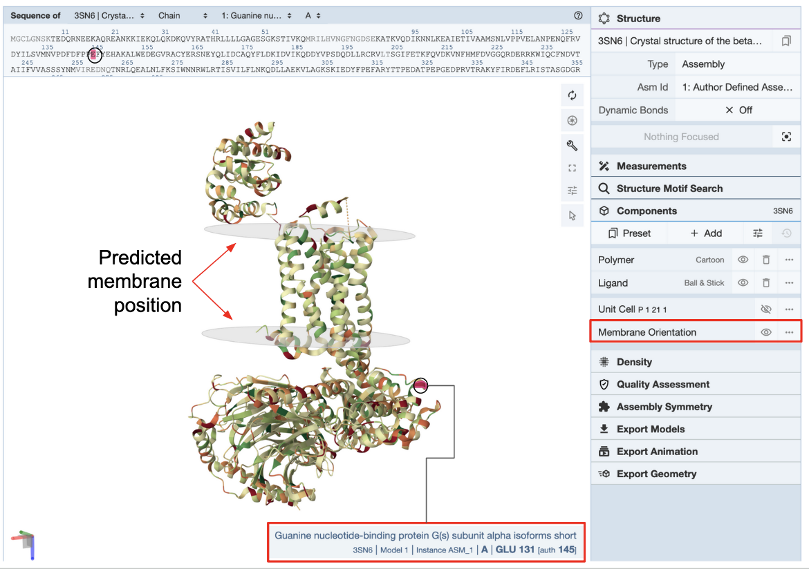 Figure 6: A dedicated 3D visualization page in Mol* with the predicted membrane position marked in the the PDB entry, shown by two transparent circular plane segments. Visual parameters can be changed using the Mol* options. 