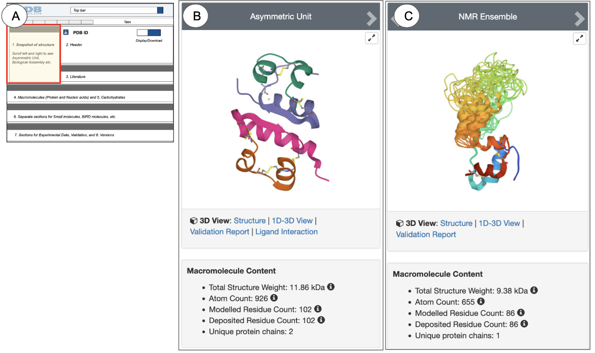 Figure 3: Snapshot of experimental structures. (A) shows the schematic of the Structure Summary page and highlights the location of the Snapshot in a red-outlined box. (B) and (C) are examples of structure snapshots from PDB ID 1trz (X-ray structure) and PDB ID 2kqp (NMR structure), respectively.