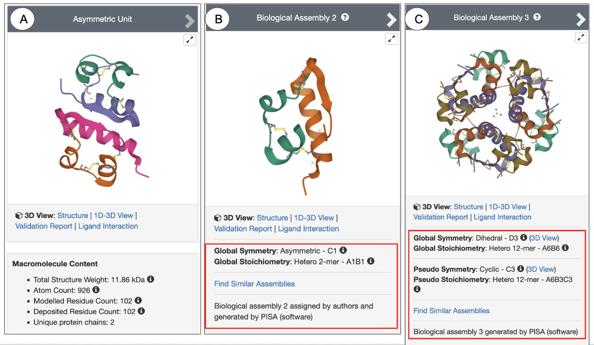Figure 5: Snapshots of PDB ID 1trz showing (A) Asymmetric Unit; (B) Biological Assembly 2; (C) Biological Assembly 3. The red boxed regions display the Symmetry information for the specific assembly.
