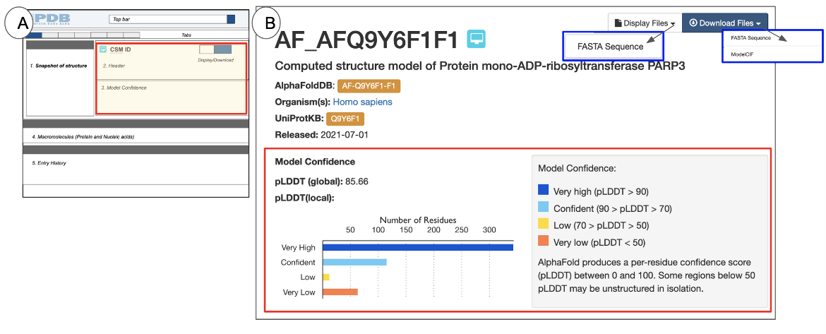 Figure 7: The CSM Header: (A) a schematic of the Structure Summary page highlighting the Header in a red-outlined box; (B) example of the Header for AF-Q9Y6F1-F1 (AlphaFold structure)