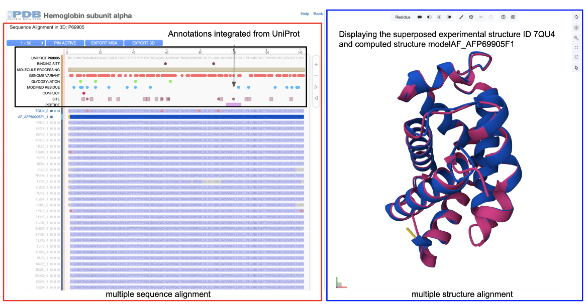 Figure 3: Interface of a UniProt Accession based group’s Sequence Alignment in 3D. The sequence alignment is shown in the red outline box, and active or selected structures from the alignment in 3D blue outline box. Mapping of annotations from UniProt on the sequence alignment are shown in the black outline box.  