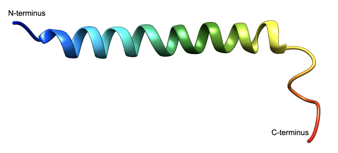 Figure 8. The 3D structure of GIP in Trifluoroethanol/water (PDB ID 2obu, Alana et al., 2007), shown in ribbon representation, colored using the rainbow color scheme with the N-terminus shown in blue and the C-terminus in red.
