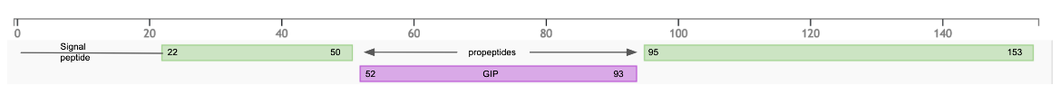 Figure 6: Post-translational processing of GCG gene product, based on information from UniProt 