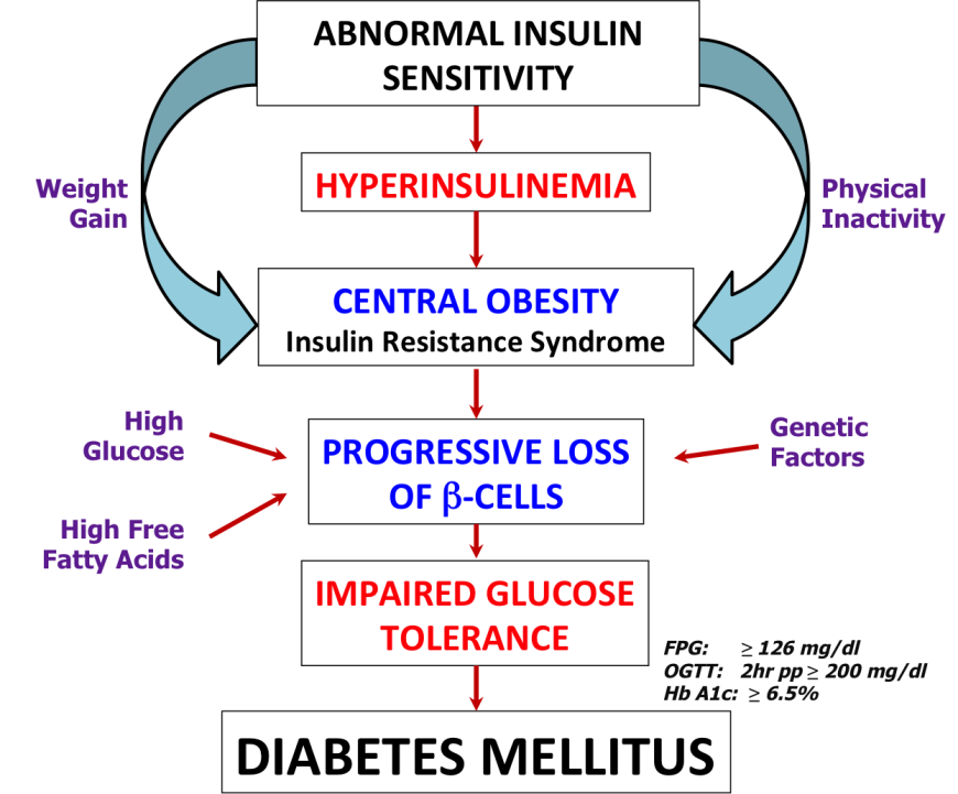 Figure 1. A flowchart showing the pathogenesis of diabetes mellitus. Some common risk factors are colored in purple, while the indicators for diabetes such as fasting plasma glucose (FPG), oral glucose tolerance test (OGTT) and hemoglobin A1C (Hb A1c) are listed in black.