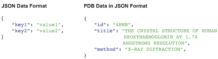 The JSON format is constructed as a series of key-value pairs. Examples of key-value pairs from RCSB API are shown on the left.