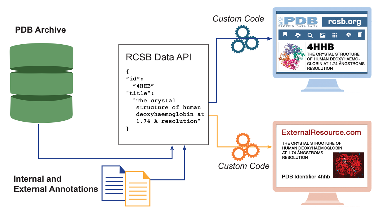 <I>RCSB PDB APIs build on the data available in the PDB archive and additional internal and external annotations. They power the RCSB.org website. Because they are publicly available, they can be also used without restrictions by external resources.</I>