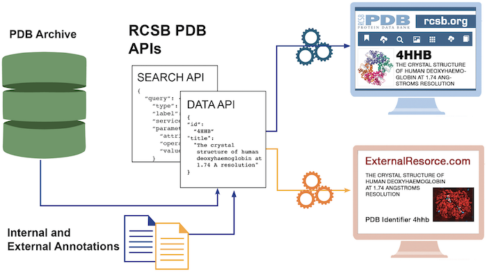 RCSB PDB APIs build on the data available in the PDB archive and additional internal and external annotations. They power the RCSB.org website. Because they are publicly available, they can be also used without restrictions by external resources.