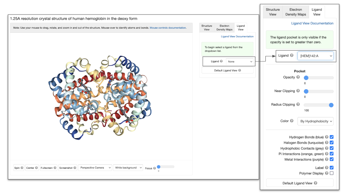 Figure 3: NGL interface showing Ligand View. The panel on the right shows the options that become available when a specific ligand is selected.