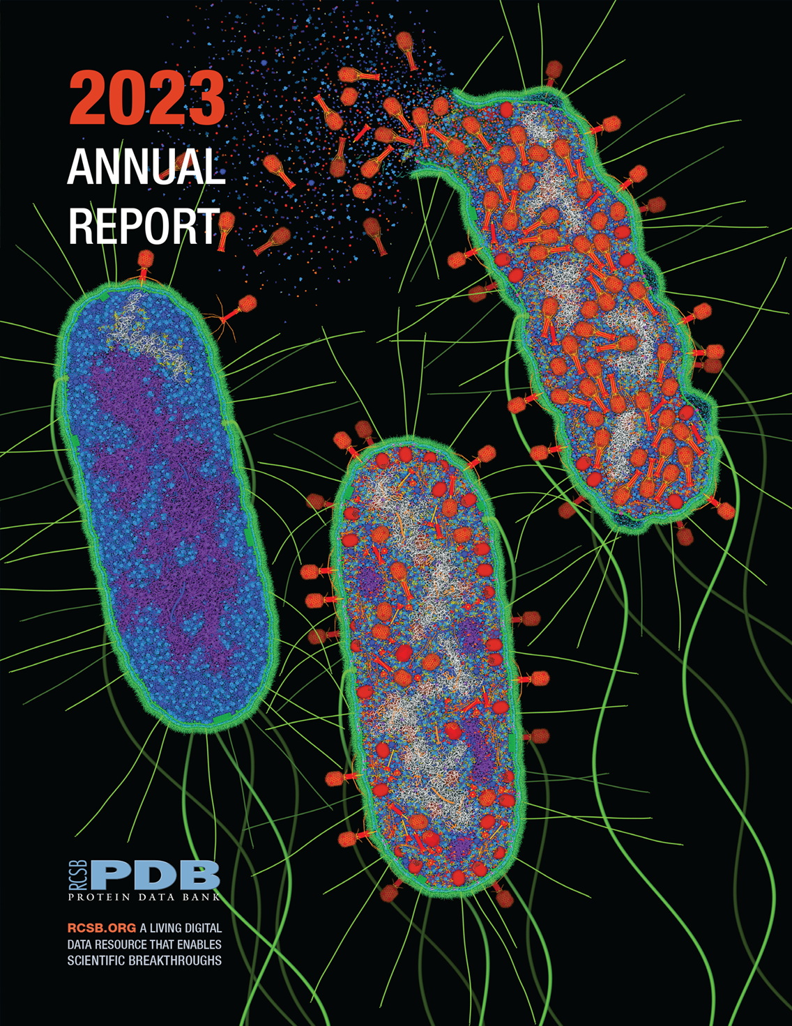 RCSB PDB: Homepage