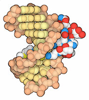 Thumbnail of Drugs to PDB ID mapping page