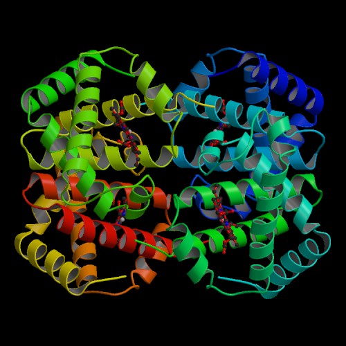 RCSB PDB 2004 PDB News