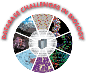 Database Challenges in Biology