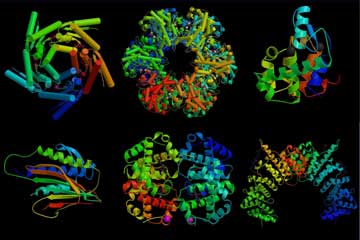 RCSB PDB 2004 PDB News