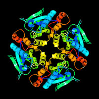 PDB ID: 1XN4