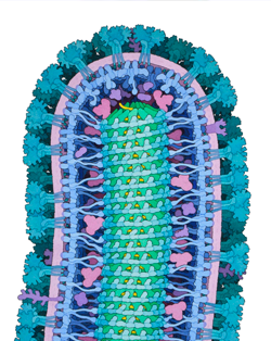 Get Excited, Be Critical by David S. Goodsell, The Scripps Research Institute and Rutgers University