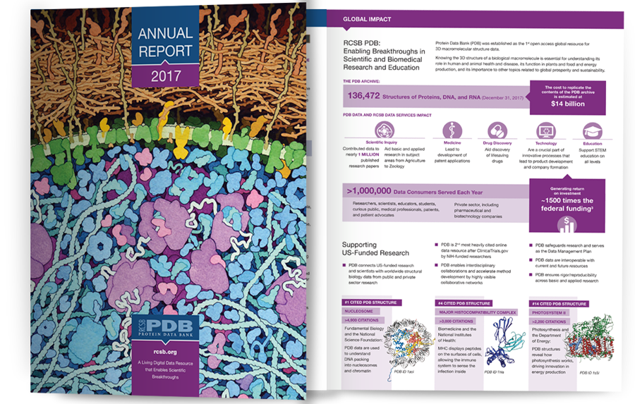 annual report