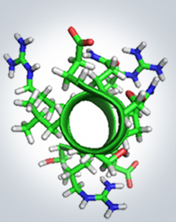 Creating Accessible Tools for Molecular Visualization Instruction
By Kristen Procko and the BioMolViz Group