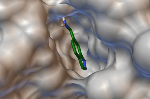 Drug docking into the active site