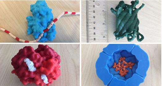 3D Models from PDB-101 3D printing section