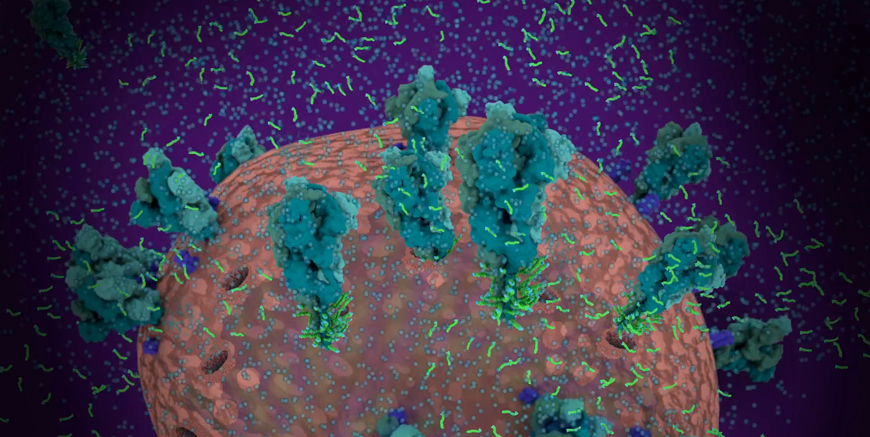 Screenshot from the video Fight Coronavirus with Soap