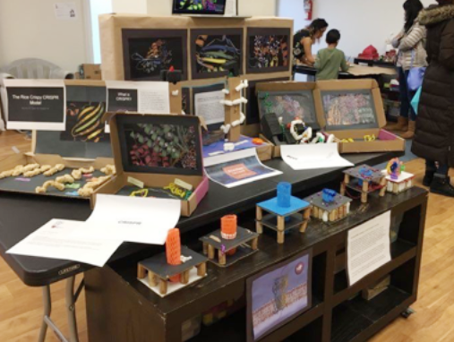 Display of student-rendered PyMol images and protein dioramas at a the Hudson Montessori School maker faire. Students created secondary structure models and membrane-embedded acetylcholine receptor models from recycled materials. 
