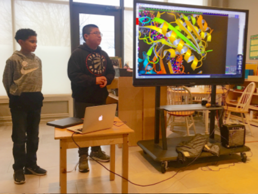 Students at Hudson Montessori School using PyMol to present what they learned about protein structure to parents and siblings  